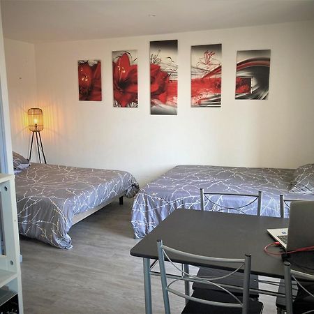 Studio Double 11 Avec Wifi Limoges Eksteriør bilde
